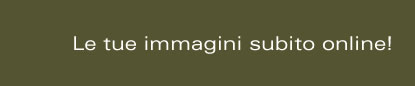 Le tue immagini subito online!