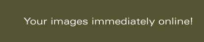 Your images immediately online!